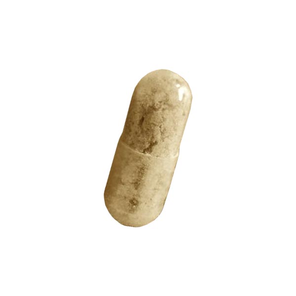 Playboy Champagne – MDMA Pills