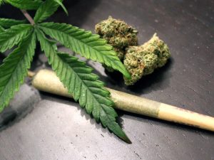 Microdosing Cannabis: A New Frontier for Intentional Living